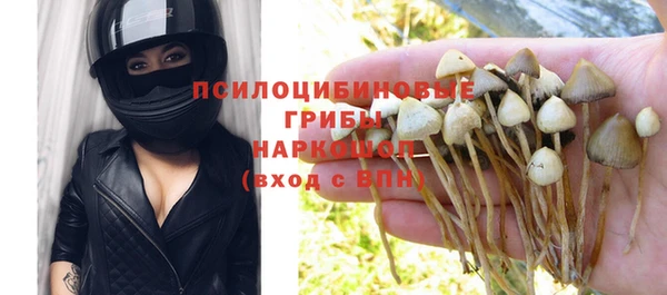 ECSTASY Алзамай