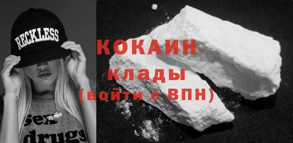 ECSTASY Алзамай