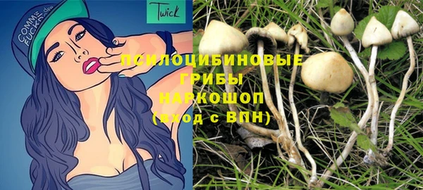 ECSTASY Алзамай