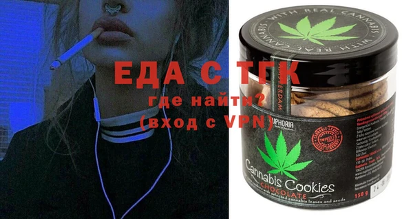 ECSTASY Алзамай