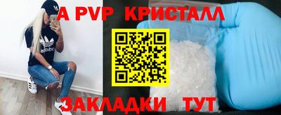 прущие грибы Комсомольск-на-Амуре