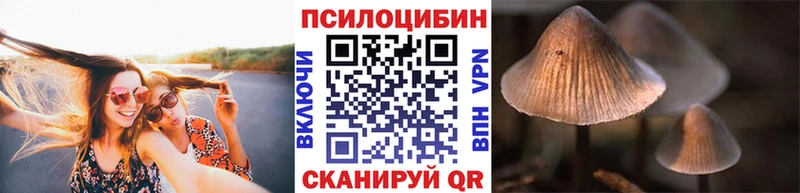 мега зеркало Сухой Лог Галлюциногенные грибы Magic Shrooms