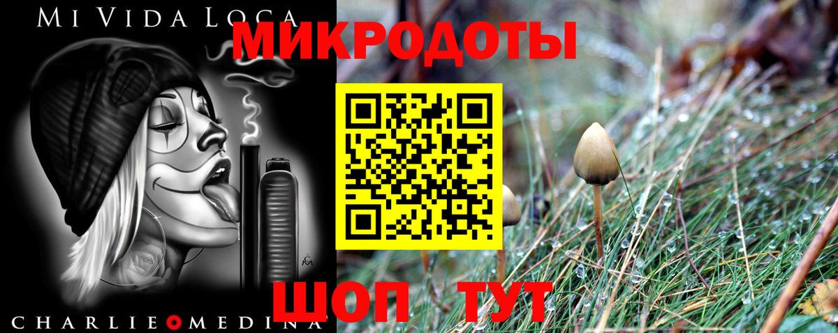 Галлюциногенные грибы прущие грибы Сухой Лог