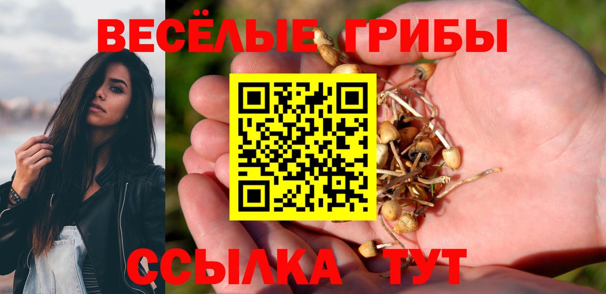 Псилоцибиновые грибы прущие грибы  Псилоцибиновые грибы мицелий  Вход с VPN  наркота  Сухой Лог 